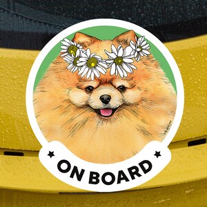 Pomeranian on Board Pom Dog Zwergspitz Sign Decal Car Window Sticker V03