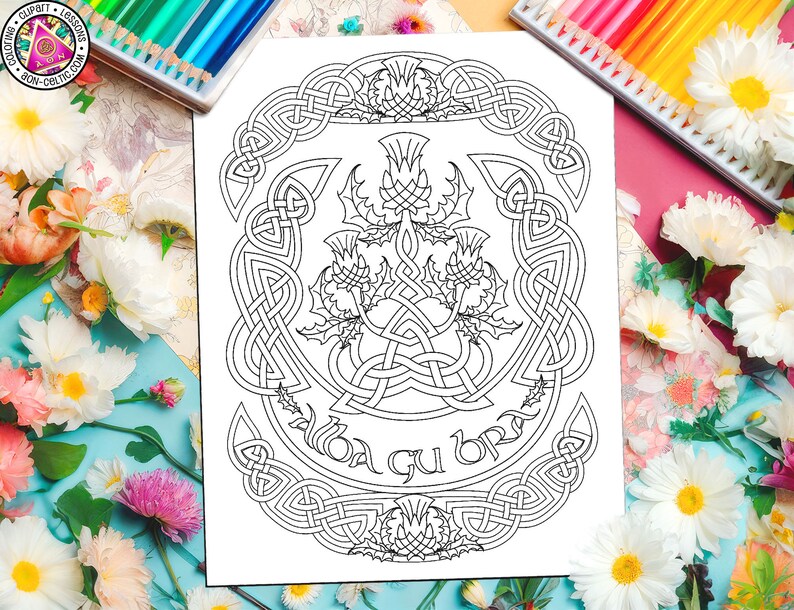 K&ouml;nnte beinhalten: Eine Schwarzwei&szlig;-Malvorlage mit einem keltischen Knotendesign mit drei Disteln in der Mitte. Der Text "Alba gu br&agrave;th" ist in einem Kreis um die Disteln geschrieben.