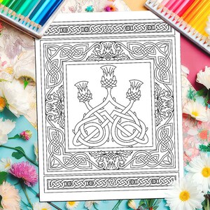 Könnte beinhalten: Eine Schwarzweiß-Malvorlage mit einem keltischen Knotendesign mit drei stilisierten Disteln in der Mitte. Das Design ist von einem dekorativen Rahmen umgeben.