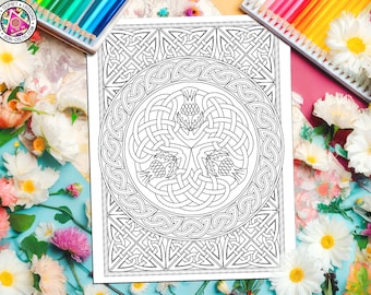 CELTIC Thistle - 'Thistle Shield', Scottish Coloring