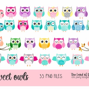 SÜßE EULE CLIPART ' Eulen Clipart Digitale Eulen Clipart. Baby Shower Clipart. Rosa Eulen. Eulen Clipart. Eule Geburtstagseinladung. Dusch clipart