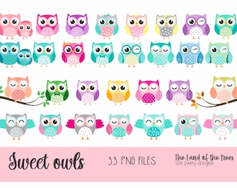 CUTE OWL CLIPART' Owls Clipart Digital Owls Clipart. Baby Shower Clipart. Pink Owls. Owl Clipart. Owl Birthday Invitation. Shower Clipart
