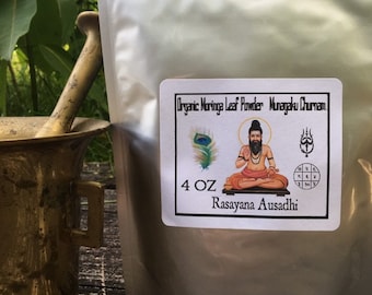 Organic Moringa Leaf Powder (Munagaku Churnam) 4oz (Rasayana Ausadhi)