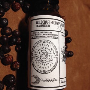 Wildcrafted Nordic Juniper Berry Spagyric Tincture (1oz) kidney, bear medicine, forest herbs, Northern tradition image 6