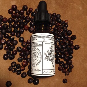 Wildcrafted Nordic Juniper Berry Spagyric Tincture (1oz) kidney, bear medicine, forest herbs, Northern tradition image 4