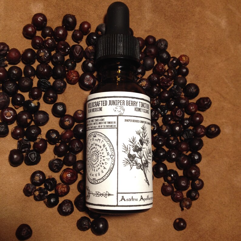 Wildcrafted Nordic Juniper Berry Spagyric Tincture (1oz) kidney, bear medicine, forest herbs, Northern tradition image 4