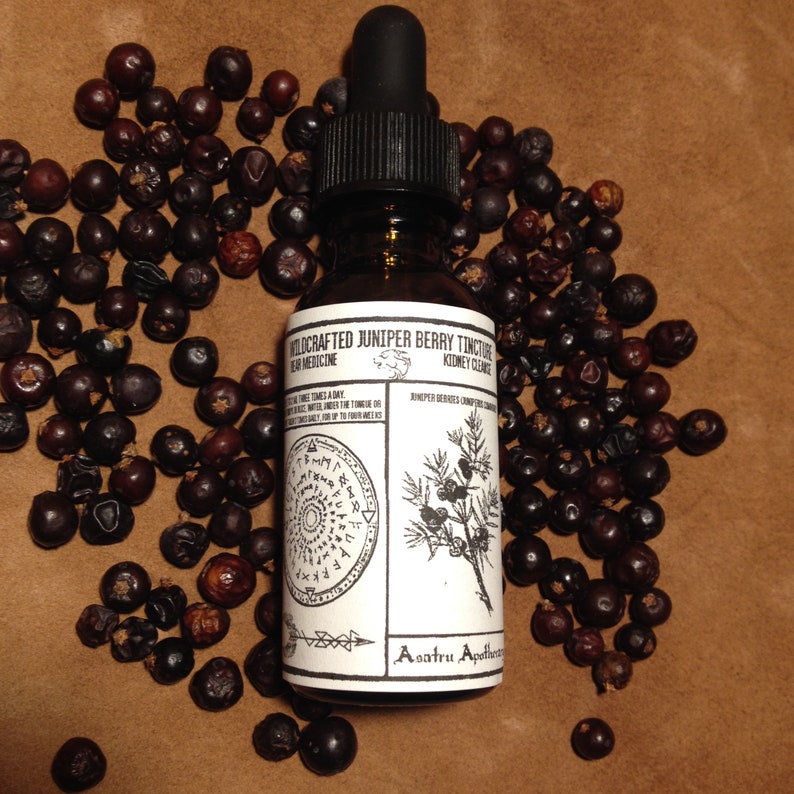 Wildcrafted Nordic Juniper Berry Spagyric Tincture (1oz) kidney, bear medicine, forest herbs, Northern tradition image 2