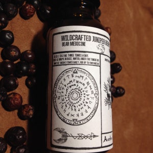 Wildcrafted Nordic Juniper Berry Spagyric Tincture (1oz) kidney, bear medicine, forest herbs, Northern tradition image 1