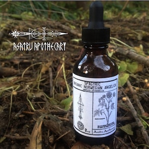 Organic Spagyric Norwegian Angelica Tincture (2oz) tonic, circulation, lyme, lung, migraine, hangover, women&#39;s health