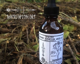 Puede incluir: Una botella de 2 oz de tintura de angélica noruega spagyrica orgánica. La botella tiene un gotero negro y una etiqueta blanca con texto negro y una ilustración botánica. La etiqueta dice "Spagyric Norwegian Angelica Angelica Archangelica 2 oz Asatru Apothecary".