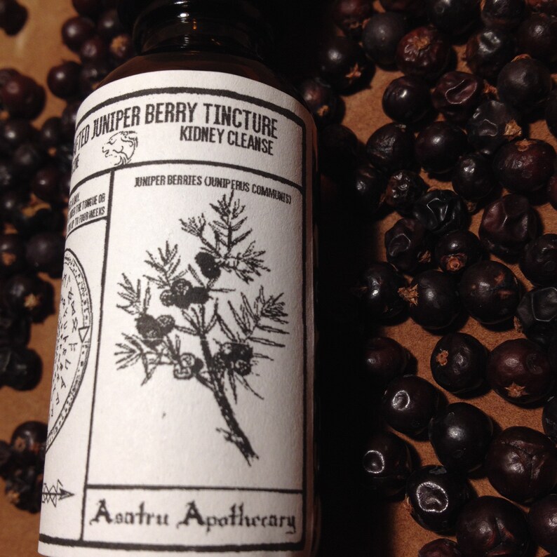 May include: A small glass bottle with a white label that reads "Juniper Berry Tincture Kidney Cleanse" and "Juniper Berries Juniperus Communis". The label also features a black and white illustration of a juniper tree with berries. The bottle is sitting on a brown surface with a scattering of dark berries.