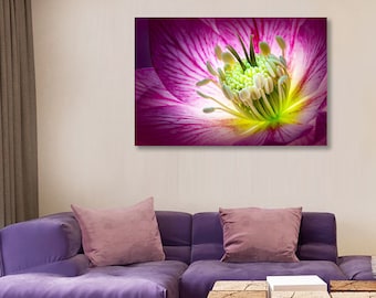 Impresión de arte de metal extra grande, fotografía macro de flor púrpura, arte moderno moderno ahora popular para sala de estar, dormitorio, oficina