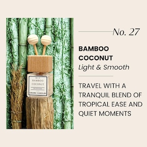 Difusor de coche de bambú y coco / Aroma tropical limpio / Ambientador de larga duración / Clip para ventilación con aceite esencial / Ambientador no tóxico