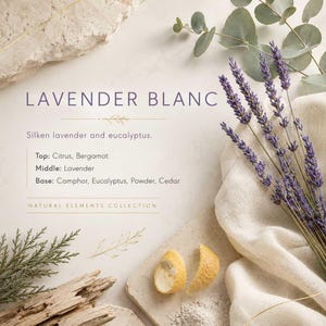 Op de afbeelding: Een productlabel met de titel LAVENDER BLANC met tekst over zijdezachte lavendel en eucalyptus, met geurnoten van citrus, bergamot, lavendel, kamfer, eucalyptus, poeder en ceder. De afbeelding bevat gedroogde lavendel, eucalyptus en citroenschil.