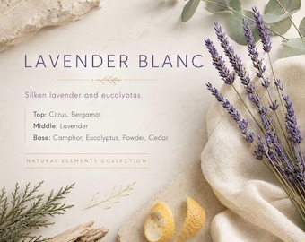 Lavender Blanc Reed Diffuser, Lavender Home Fragrance, Flameless Room Diffuser, Clean Lavender Scent, Home Fragrance Reed Diffuser Set