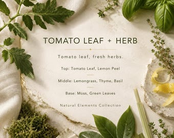 Tomato Leaf + Herb Candle, Green Candle, Herbal Candle, Garden Candle, Fresh Scented Candle, Soy Candle