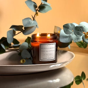 Scented Candle - Peppermint Eucalyptus Soy Candle - Refreshing Scented Soy Wax Candle