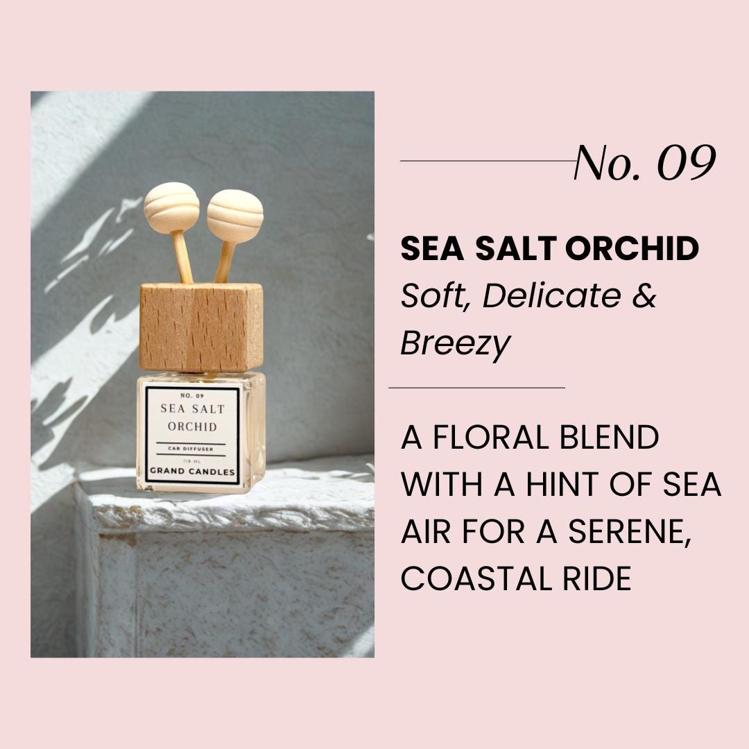 Sea Salt Orchid Car Diffuser | Fresh Coastal Car Scent | Sea Salt ...