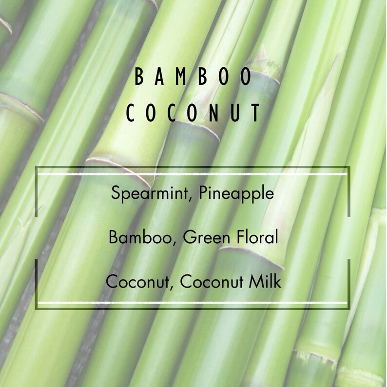 Bamboo Coconut Reed Diffuser