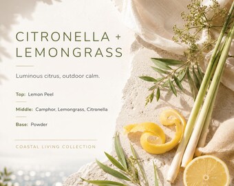 Citronella + Lemongrass Candle, Outdoor Candle, Citrus Candle, Patio Candle, Fresh Scented Candle, Soy Candle