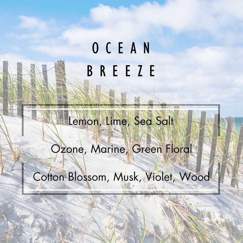 Ocean Breeze Reed Diffuser, Ocean Scented Diffuser, Ocean Home ...