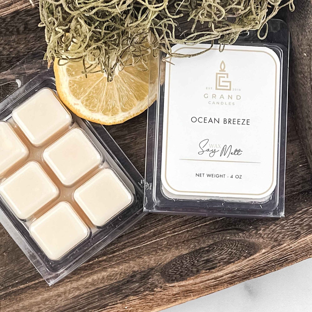 Ocean Breeze Soy Wax Melt Natural and Ecofriendly Home Fragrance Etsy