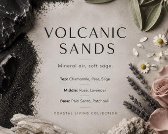 Volcanic Sands Reed Diffuser, Coastal Home Fragrance, Sage Room Diffuser, Flameless Fresh Mineral Scent