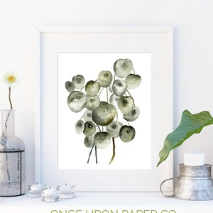 May include: A watercolor painting of a leafy plant with round, green leaves. The leaves are arranged in a cluster and have a delicate, watercolor effect. The painting is framed in a white frame and is set against a white background.