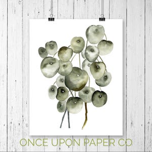 May include: Watercolor painting of a cluster of green and gray round leaves, resembling a bunch of grapes. The leaves are painted in a loose, abstract style, with soft edges and subtle variations in color. The background is white.