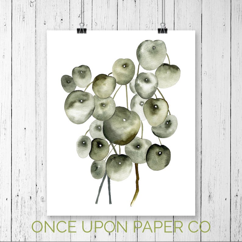 May include: Watercolor painting of a cluster of green and gray round leaves, resembling a bunch of grapes. The leaves are painted in a loose, abstract style, with soft edges and subtle variations in color. The background is white.