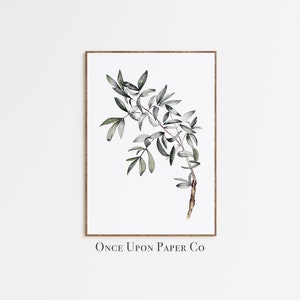 Eucalyptus poster print, Botanical prints, Plant print, Art print, Botanical wall art, Eucalyptus wall art, farmhouse decor, wall art