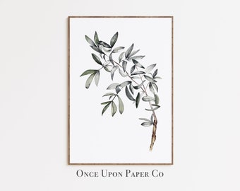 May include: A framed botanical print featuring a watercolor illustration of a leafy branch with green and gray leaves. The print is set against a white background and framed in a brown wooden frame. The text "Once Upon Paper Co" is at the bottom.