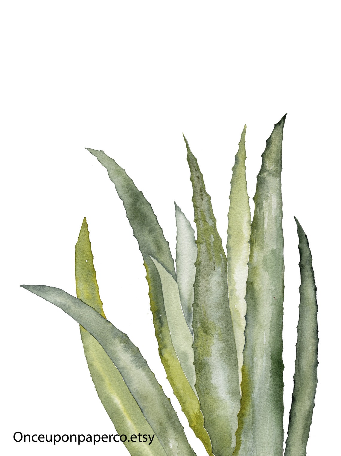 Wall Art Cactus Set Set 3 Cactus Print Cactus Printable | Etsy Hong Kong