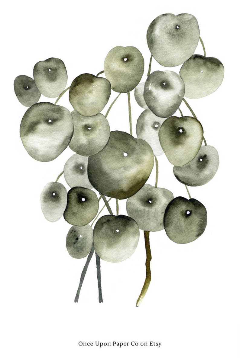May include: Watercolor painting of a green leafy plant with round leaves. The plant is painted in shades of green and gray, and the leaves are arranged in a cluster.