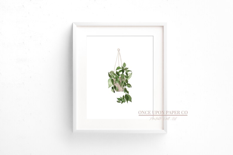 Hanging Plant Print Plant Wall Art Plant Art Green Wall Etsy