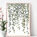 Botanical hanging plant digital print, Watercolor Pearl plant wall art, Instant download printable house plant print