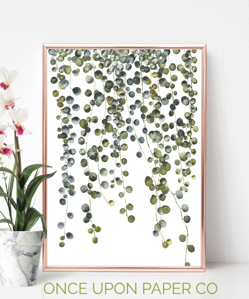 Botanical hanging plant digital print, Watercolor Pearl plant wall art, Instant download printable house plant print 