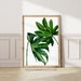 see more listings in the House Plant Prints section