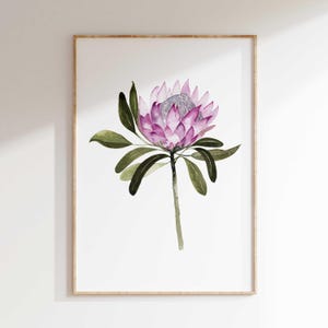 King Protea Print, Watercolor flower wall art, Botanical Large wall art Poster, Flower wall art, Australian Native Flower, Instant digital