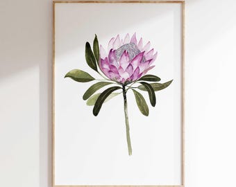 Stampa acquerello di King Protea, fiore nativo australiano (download digitale)