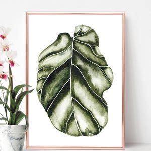 以下が含まれることがあります： 濃い緑色の葉が描かれた水彩画。葉は白い背景に孤立しており、銅色のフレームで囲まれています。フレームの下には「ONCE UPON PAPER CO」という文字が印刷されています。