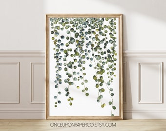 Botanical hanging plant digital print, Watercolor Pearl plant wall art, Instant download printable house plant print
