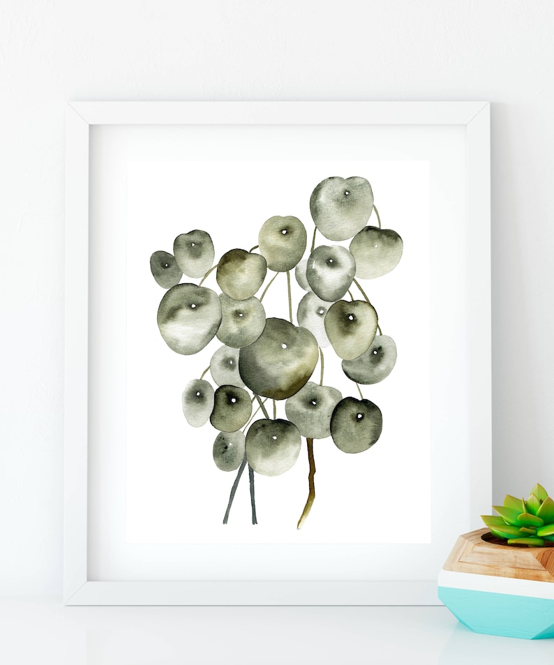 May include: A watercolor painting of a cluster of green and gray round leaves, resembling a plant with a delicate stem.