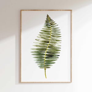 Fern print illustration botanical watercolor art, Fern poster botanical wall art print, Nature art botanical fern prints. Leaf home decor