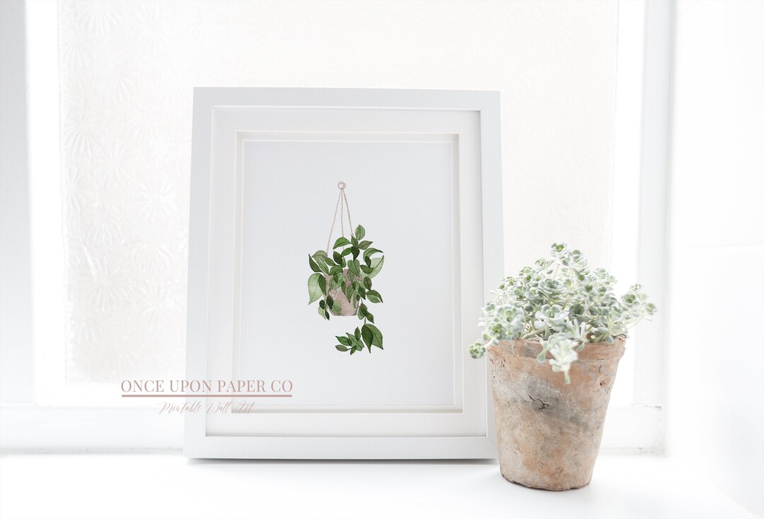 Hanging Plant Print Plant Wall Art Plant Art Green Wall - Etsy