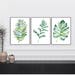 Botanical Print Set, Large Printable Watercolor Illustration, Botanical wall art instant download, Boho Leaf print set 