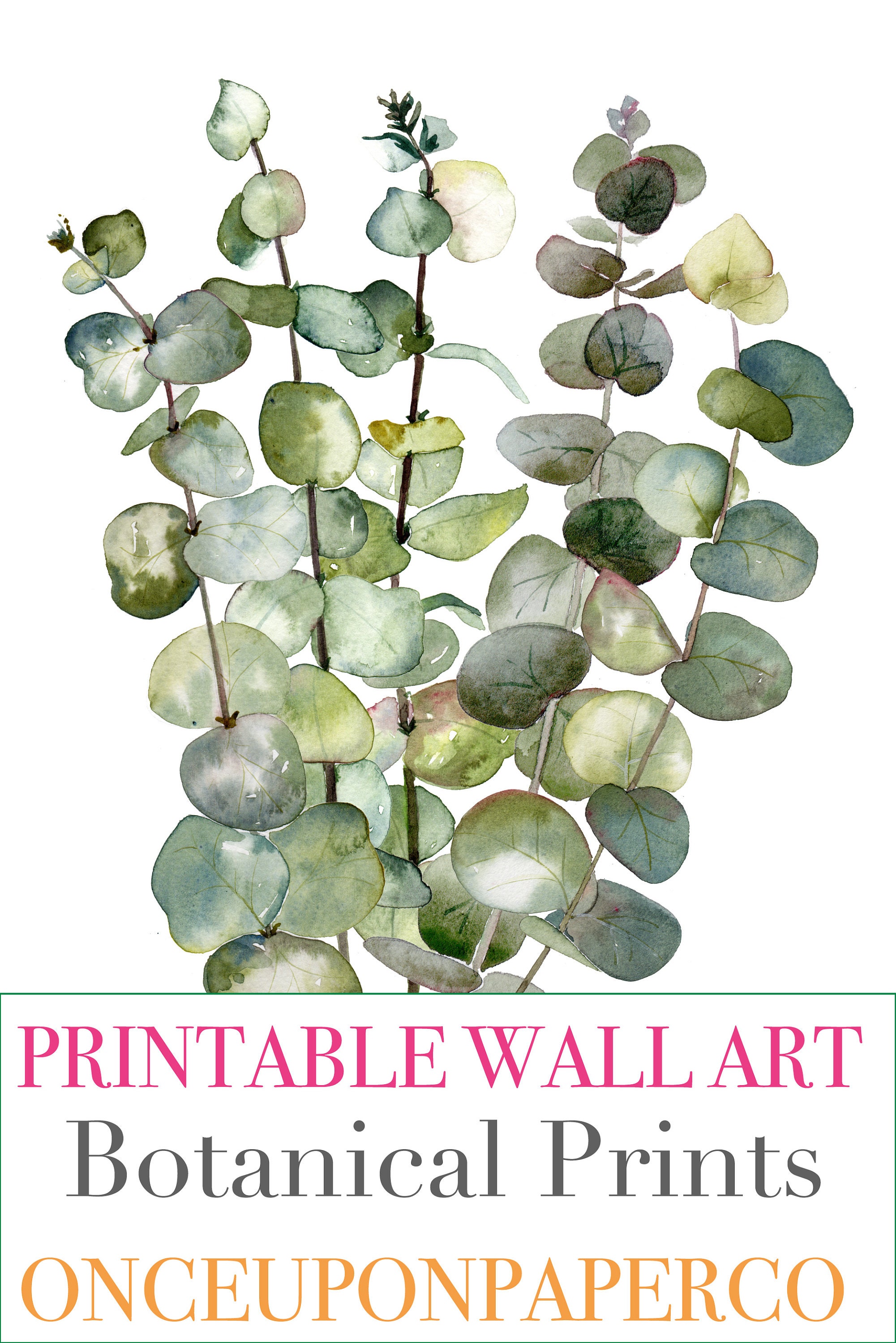 prints-botanical-printable-botanical-print-eucalyptus-leaves-botanical