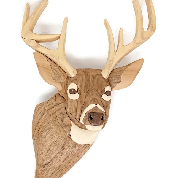 Whitetail Deer Intarsia woodworking.    Trophy deer made from four different spieces of wood and cut on a scroll saw.