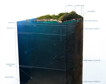Ocean Layers Print: Marine Biology Art, Oceanography Poster