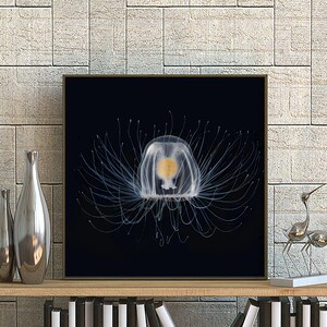 Jellyfish Illustrations,  Ocean print, Jellyfish Poster, Jellyfish Art, Animal Print, Jellyfish Decor, Wildlife, Animal Art, Nature Print